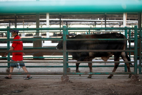 Tiongkok dan Filipina Tangguhkan Impor Daging Sapi dari Kanada