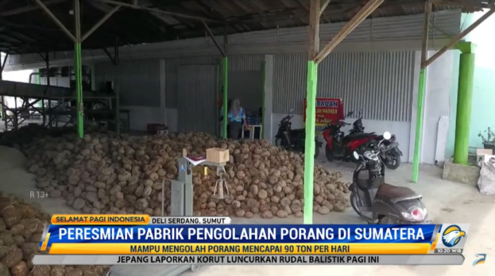Pabrik Porang Pertama di Sumut Beroperasi