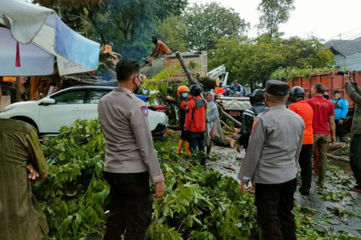 Hujan Deras, 3 Mobil Tertimpa Pohon Tumbang di Semarang