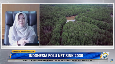 Apa Itu Folu Net Sink 2030? Ini Pengertian dan Manfaatnya bagi Indonesia dan Dunia