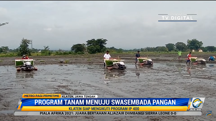 Menteri Syahrul Gelar Indeks Pertanaman 400 Agar Swasembada Pangan