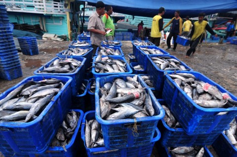 Indonesia-Prancis Sepakat Dukung Pengembangan Perikanan Berkelanjutan
