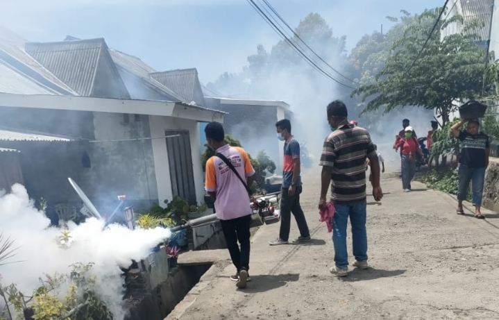 Awal 2022, Kasus DBD di Flores Timur Meningkat Tajam