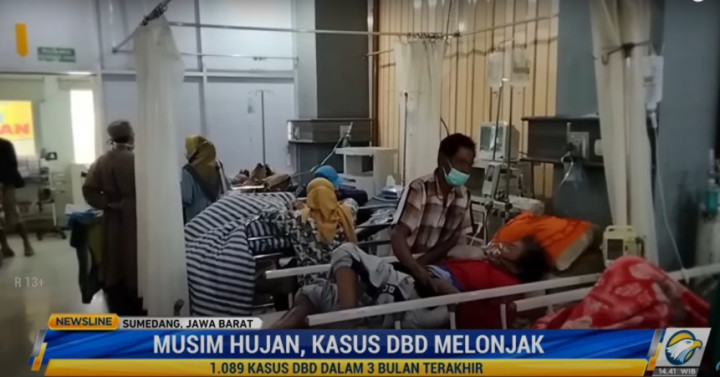 Waspada! Kasus DBD di Indonesia Meningkat
