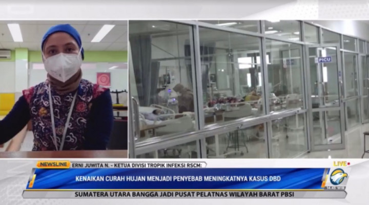 Curah Hujan Salah Satu Pemicu Peningkatan Kasus DBD