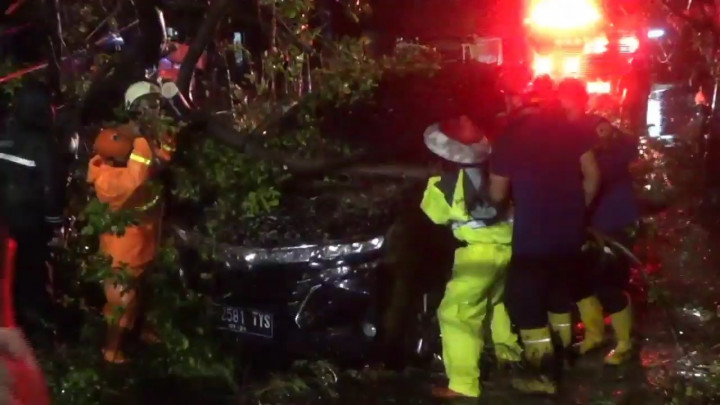 Hujan Disertai Angin Kencang di Sunter, Pohon Tumbang Timpa Mobil yang Melintas