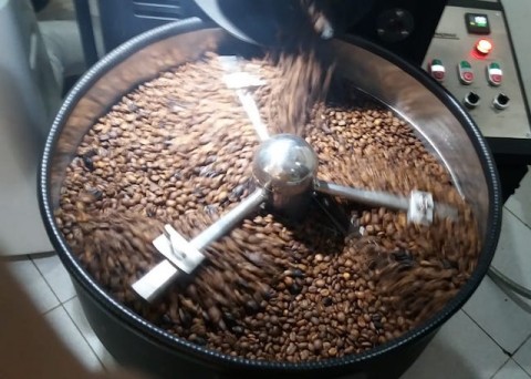 Surveyor Indonesia Dorong Budi Daya Kopi Berkelanjutan