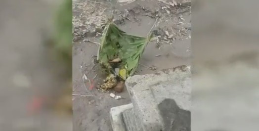 Rektor UIN Yogyakarta Harap Proses Hukum Penendang Sesajen Dihentikan