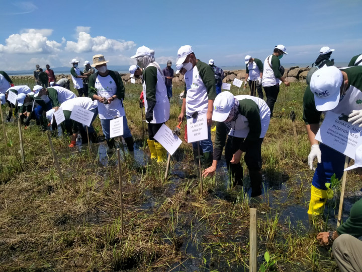 2 Hektare Pesisir Pantai Banten Ditanami Mangrove