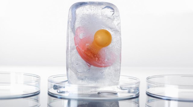 Ilustrasi. Foto: Go Fertile Clinic