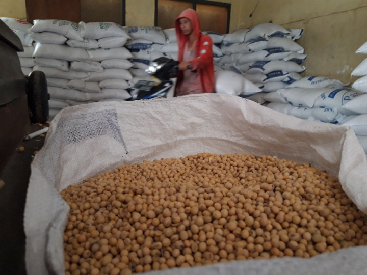 Meski Harga Global Naik, Stok Kedelai untuk Produksi Tahu Tempe Dijamin Aman