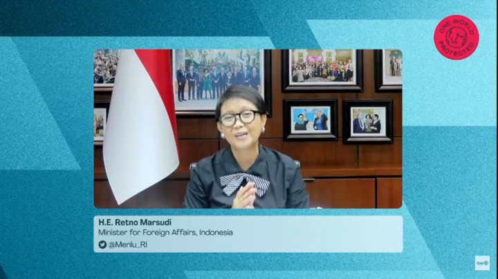 Lewat COVAX, Menlu Retno Ajak Dunia Berinvestasi untuk Solidaritas Vaksin