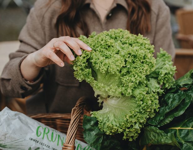 Kale atau bayam yang lebih bagus untuk kesehatanmu? Ini penjelasan ahli. (Foto: Ilustrasi/Pexels.com)