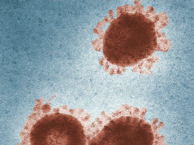 Walau Jarang, Omicron dan Delta Covid-19 Bisa 'Menyerang' Bersamaan, Lho!