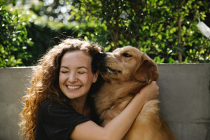 5 Anjing Paling Mudah Dilatih dan Taat Sebagai Hewan Peliharaan