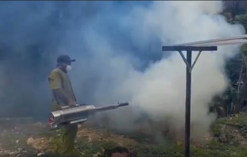 112 Warga Bojonegoro Terpapar Demam Berdarah, 2 Anak Meninggal