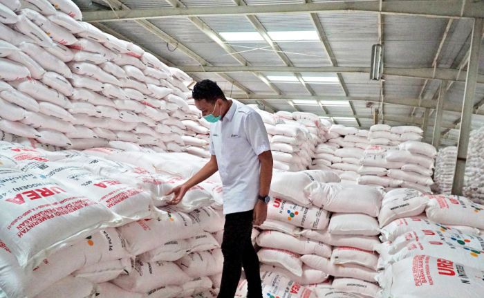 Tenang! Stok Pupuk Bersubsidi Cukup Hadapi Musim Tanam 2022