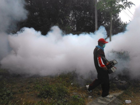 East Java Residents Should Remain Vigilant of Dengue Fever: Governor