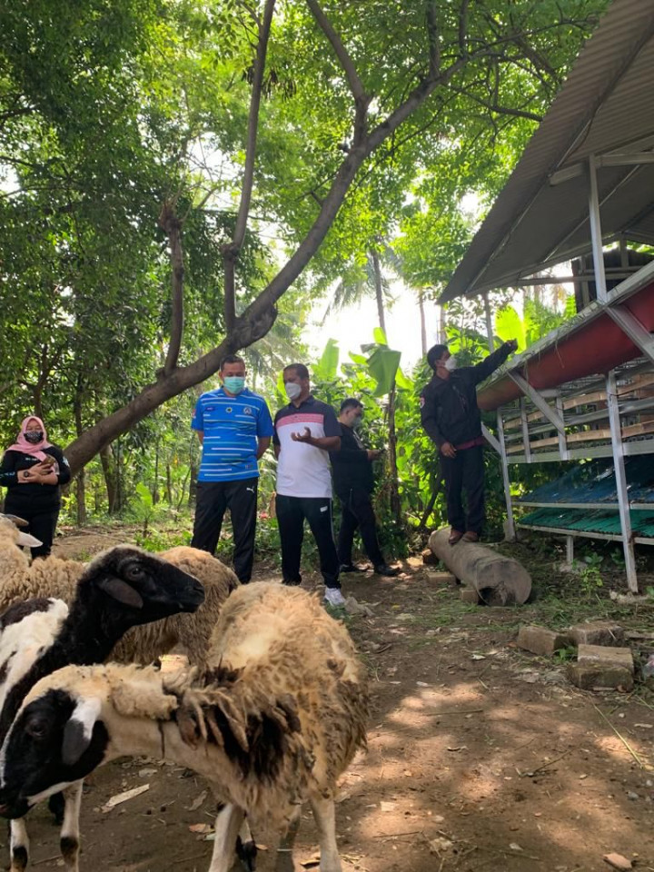 Anggaran Kandang Kambing Telan Rp2,3 Miiar, Ini Penjelasan Pemkot Bekasi