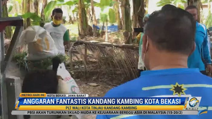 Fantastis! Anggaran Kandang Kambing Bekasi Mencapai Rp2,3 M