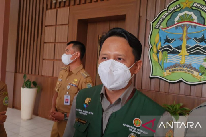 Wabah Antraks Serang Belasan Ternak di Kabupaten Gunung Kidul