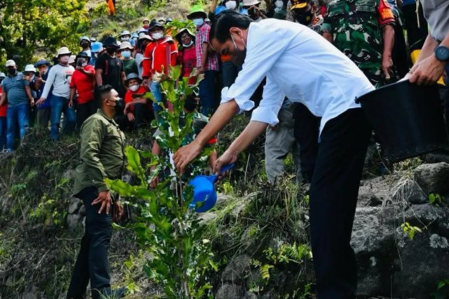 Jokowi Tanam Pohon Bersama Masyarakat Desa Simangulampe