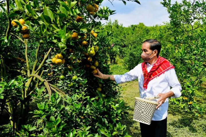 Foto Terpopuler: Jokowi Tinjau Kampung Jeruk hingga Pemimpin ISIS Ledakkan Diri