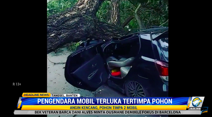 Pengendara Mobil Terluka Tertimpa Pohon