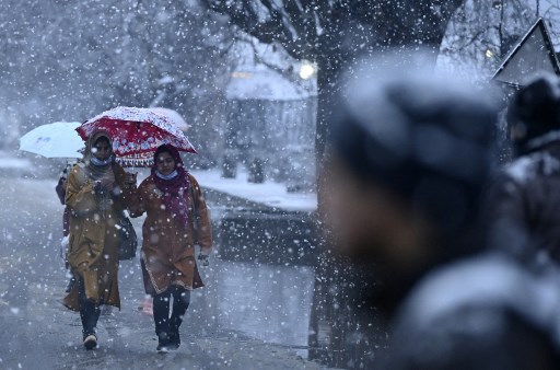 Perkembangan Digital Bantu Dongkrak Harga Apel di Kashmir