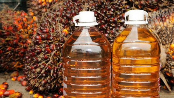 Penggunaan CPO untuk Program B30 hanya Sekitar 7,3 Juta Liter