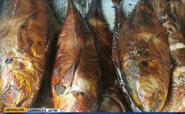 Ikan Asap Barakuda, Kuliner Lamongan Nan Banyak Diburu
