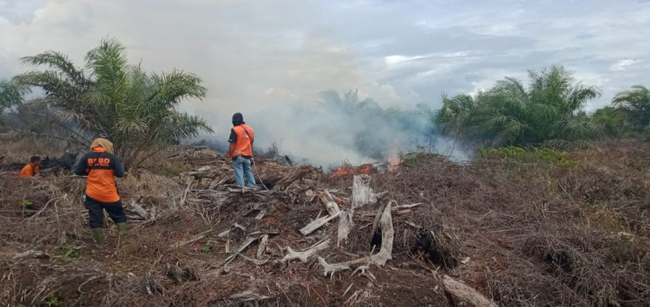 5 Hektare Lahan di Nagan Raya Aceh Terbakar