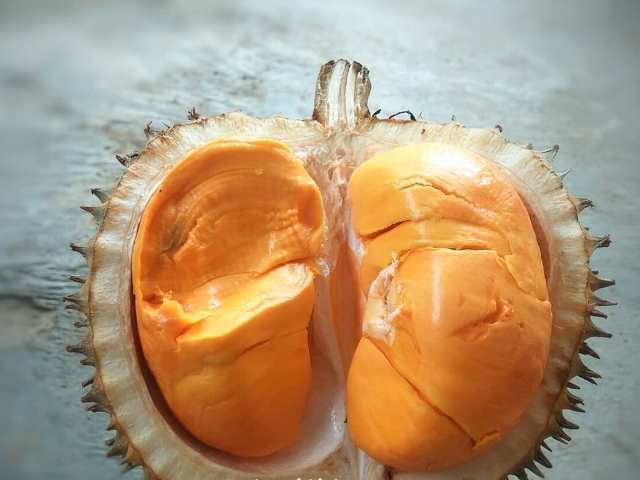 Mirip Durian, Inilah Elai Buah Endemik Khas Kalimantan