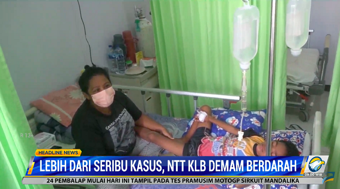 Lebih dari 1.000 Kasus, NTT KLB Demam Berdarah