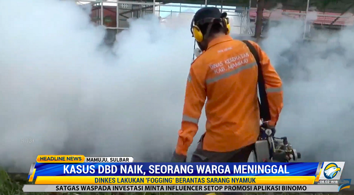 Kasus DBD Naik, Seorang Warga di Mamuju Meninggal