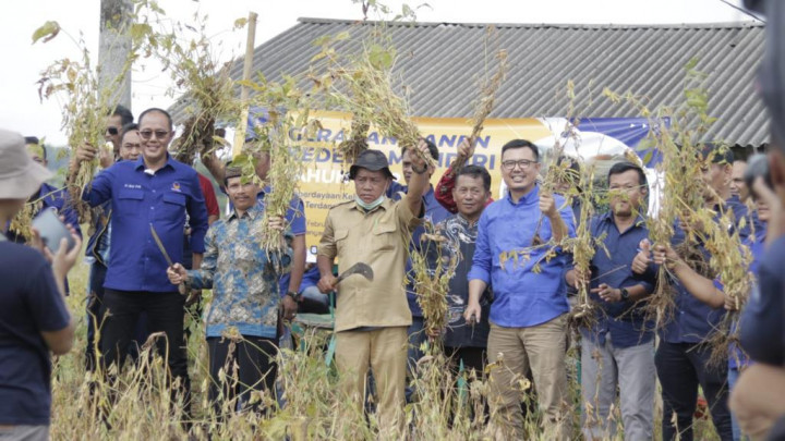 Petani Kedelai Diminta Memanfaatkan Momen Kenaikan Harga Tempe