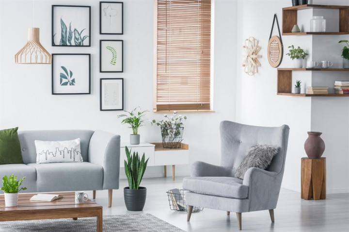 Warna Terbaik untuk Ruang Tamu Menurut Elemen Feng Shui