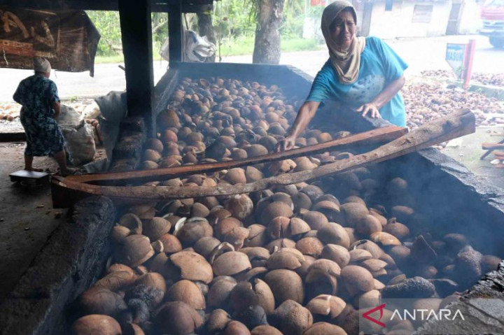 Peneliti BRIN Gunakan Ragi Tempe untuk Membuat Minyak Goreng dari Kelapa