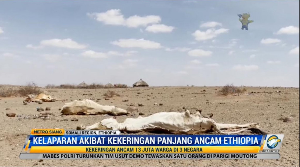 M?usim hujan yang tidak terjadi selama tiga tahun berturut-turut yang berimbas pada rusaknya tanaman dan kematian hewan ternak yang sangat tinggi. Metro TV