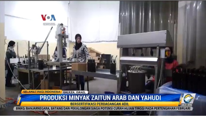 Minyak Zaitun Jadi Pemersatu Perempuan Arab dan Yahudi