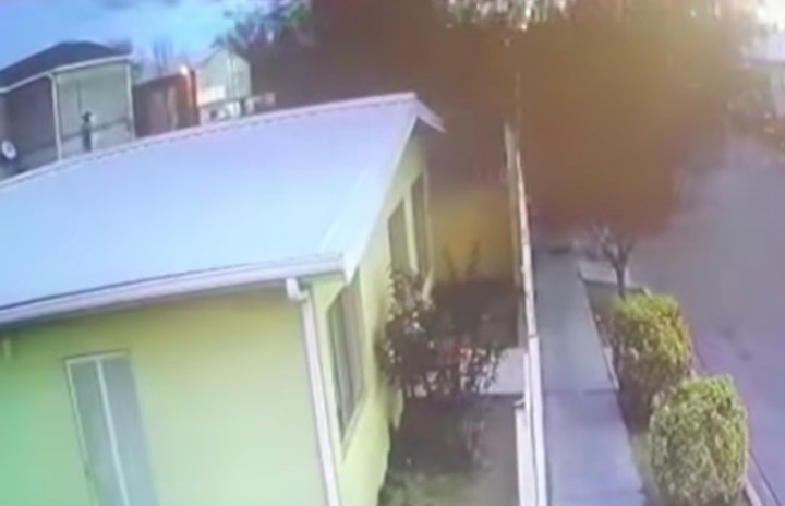 Mengerikan, Ratusan Burung Hitam Tiba-tiba Saja Jatuh dari Langit