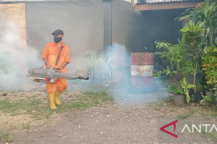 Kematian Akibat DBD di NTT Capai 9 Kasus
