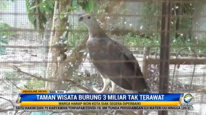 Taman Wisata Burung Bernilai Rp3 Miliar di Siak Kini Terbengkalai