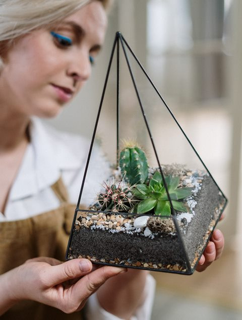 Hemat Ruang dengan 6 Ide Unik Taman Gantung