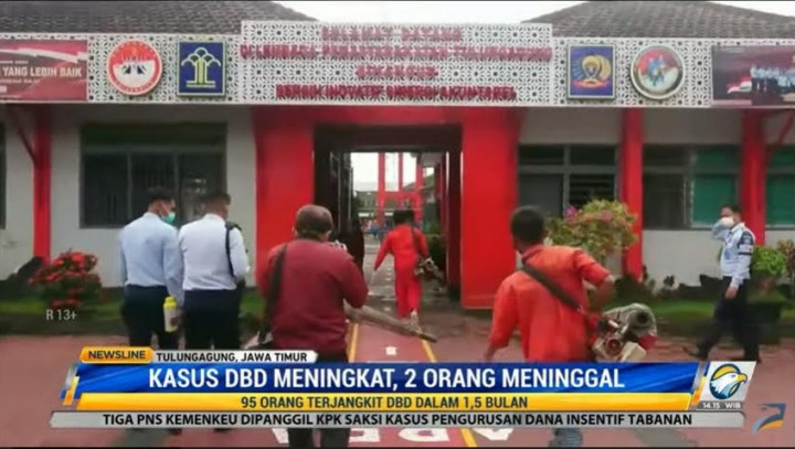 DBD Merebak di Tulungagung, 2 Orang Meninggal
