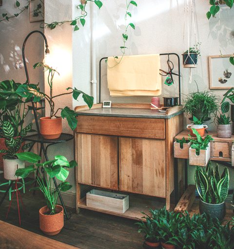 4 Mini Makeover untuk Mencoba Desain Biophilic di Rumah