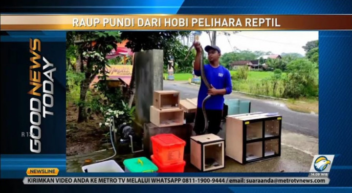 Pria di Pacitan Raup Cuan Lewat Hobi Pelihara Ular