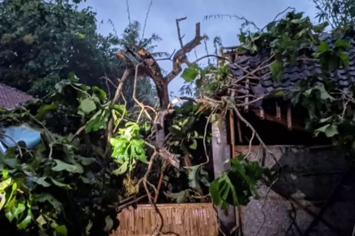 Cuaca Ekstrem Sebabkan Banjir dan Pergerakan Tanah di Bantul