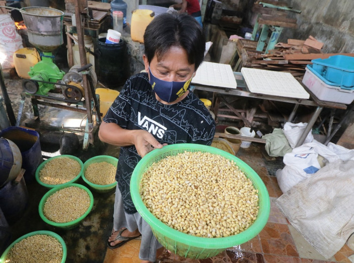 Indonesia Dinilai Sanggup Kurangi Ketergantungan Impor Kacang Kedelai