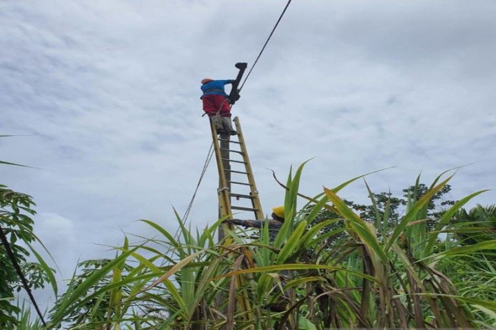 Empat Desa di Barito Timur Dapat Jaringan Listrik